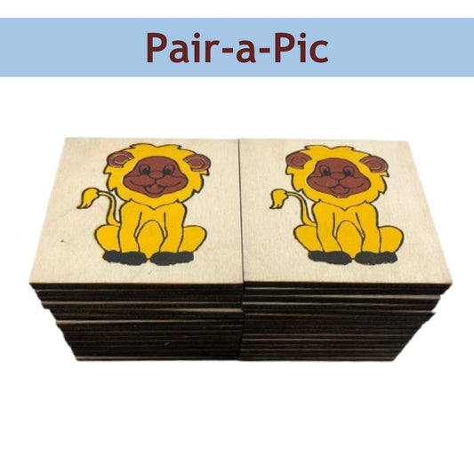 Pair-a-Pic –  Matching Puzzle Game for Kids